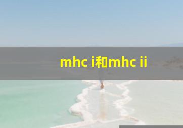 mhc i和mhc ii